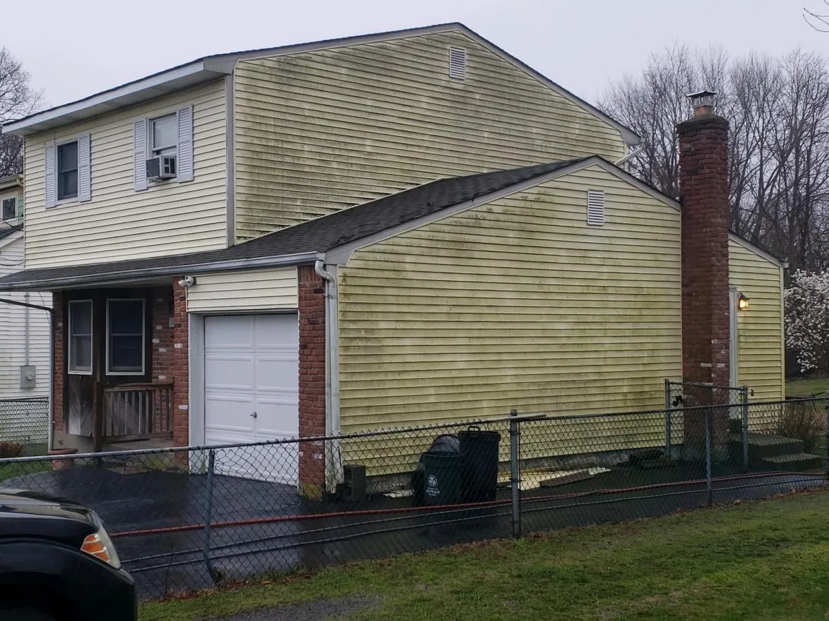 20190413_102825-1920w 20190413_102825-1920w